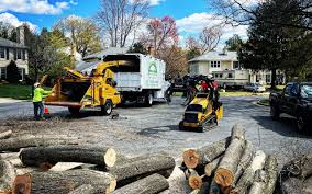 Best Lawn Maintenance Plans  in Boyertown, PA